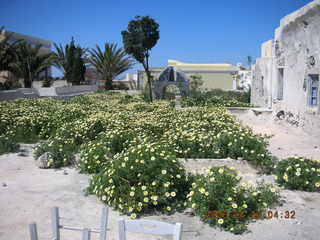 Adam, Gaby, the pirate, Ivan