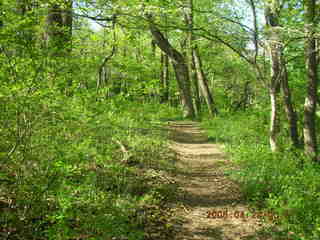 Pennypack Park run