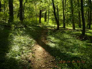 Pennypack Park run