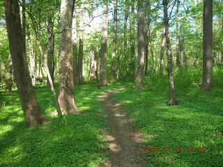 Pennypack Park run