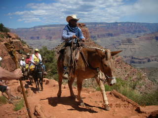 view from South Kaibab trail