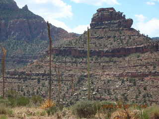 view from South Kaibab trail