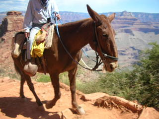 view from South Kaibab trail