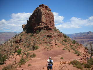 view from South Kaibab trail -- mule pack