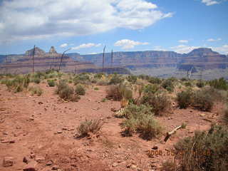 view from South Kaibab trail -- century plant -- Adam