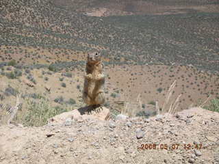 view from South Kaibab trail