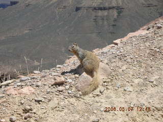 view from South Kaibab trail