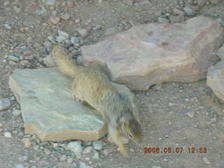 view from South Kaibab trail