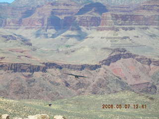 view from South Kaibab trail