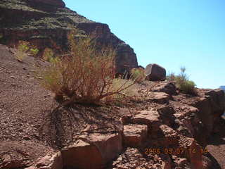 view from South Kaibab trail