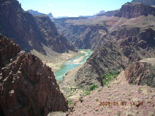 view from South Kaibab trail -- purple flowers