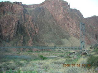 mules at Phantom Ranch