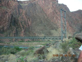 mules at Phantom Ranch