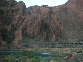 mules at Phantom Ranch