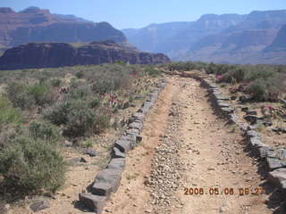 trail to Plateau Point -- Adam running in the distance