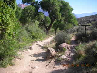 view from Bright Angel trail -- century plant