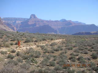 trail to Plateau Point -- Adam running in the distance