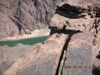 Plateau Point -- large black bird