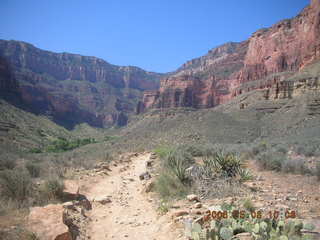 Plateau Point -- Mighty Colorado River