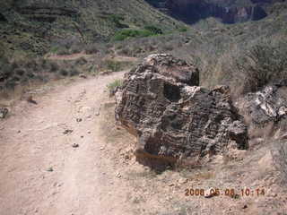 trail from Plateau Point