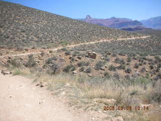 Plateau Point -- Mighty Colorado River -- Adam's cap