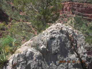 view from Bright Angel trail