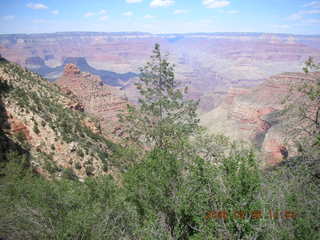 view from Bright Angel trail -- Adam