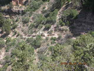 view from Bright Angel trail