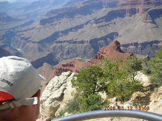 Grand Canyon from rim viewpoint -- back of Adam's head