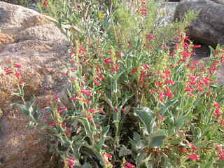 Pinnacle Peak area