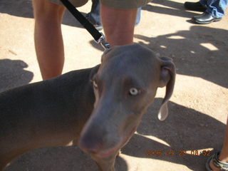 Lost Dog Wash trailhead ceremony -- the 'lost dog'