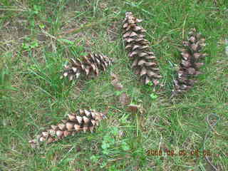 bad picture of camera welcom