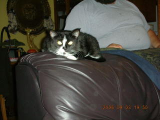 Tim Higel in silhouette over my wing over the Grand Canyon