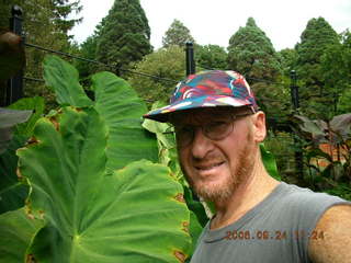 Morris Arboretum -- giant leaf, Adam