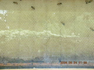 Linds -- neat picnic case