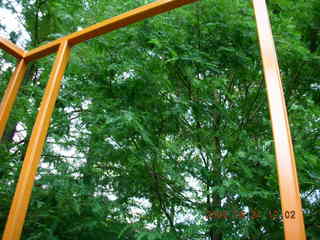 Morris Arboretum -- tree viewing sculpture