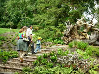 Morris Arboretum -- Betsy, Ivan, Gaby