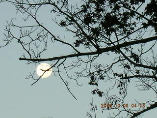Swarthmore run with moon