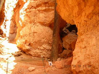 aerial -- Bryce Canyon