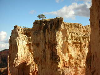 Bryce Canyon -- Navajo loop