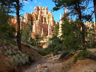 Bryce Canyon -- Navajo loop