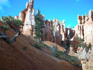 Bryce Canyon -- Navajo loop