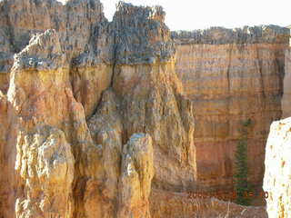 Bryce Canyon -- rim trail view