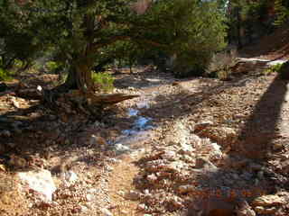 Bryce Canyon -- Fairyland Trail