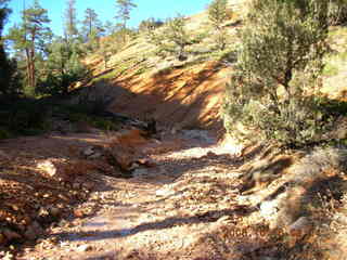 Bryce Canyon -- Fairyland Trail