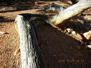 Bryce Canyon -- Fairyland Trail -- Adam