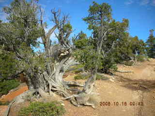 Bryce Canyon -- Fairyland Trail