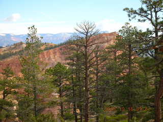 Bryce Canyon -- Fairyland Trail -- Tower Bridge -- Adam