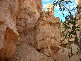 Bryce Canyon -- Fairyland Trail