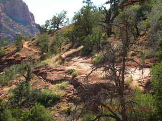 Sedona view